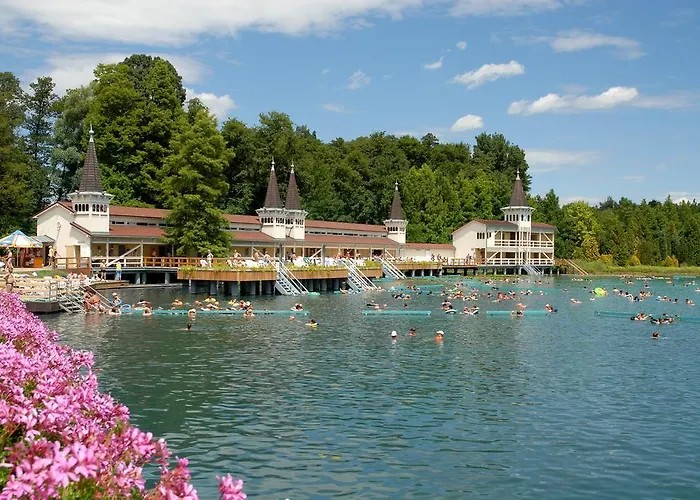 Mezzanine דירה *